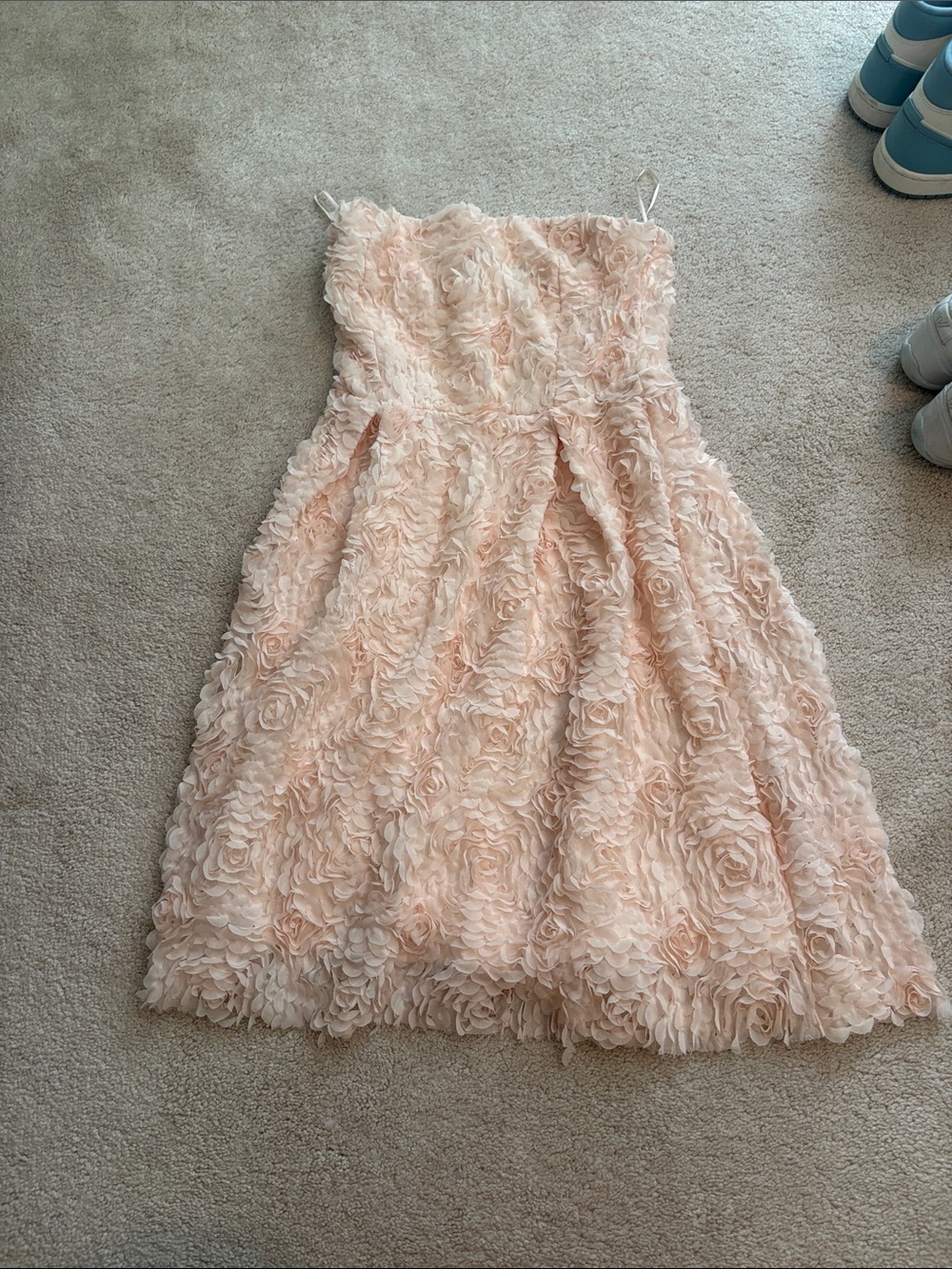 Zara Blush Pink Floral Appliqué Strapless Dress